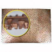 Шлифовальная пластина