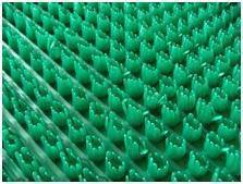 Зелёный жемчуг