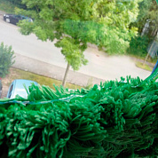 Гель для мытья стекол