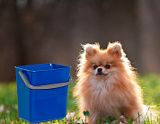 Ведро для уборки 6 л